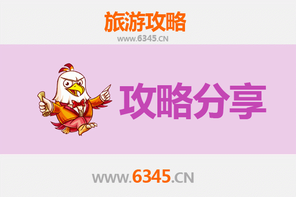 辽阳灯塔出发湄洲岛旅游攻略：跟团 vs 自由行全解析